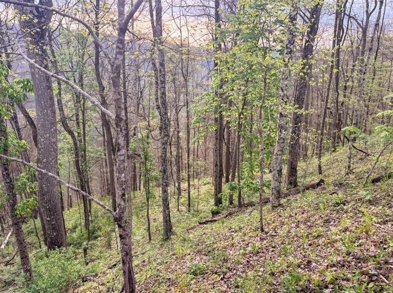 Screenshot 2026-04-21 at 11.35.14 AM