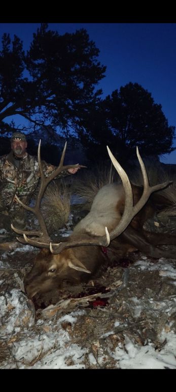 Screenshot_20221129-123644_Gallery