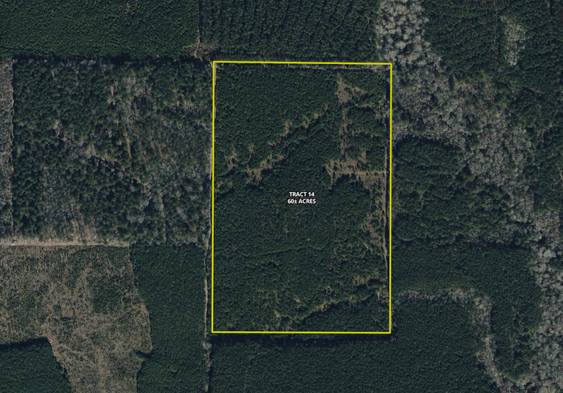 Union_Lafayette Co, AR 1779.aerial.Tract 14