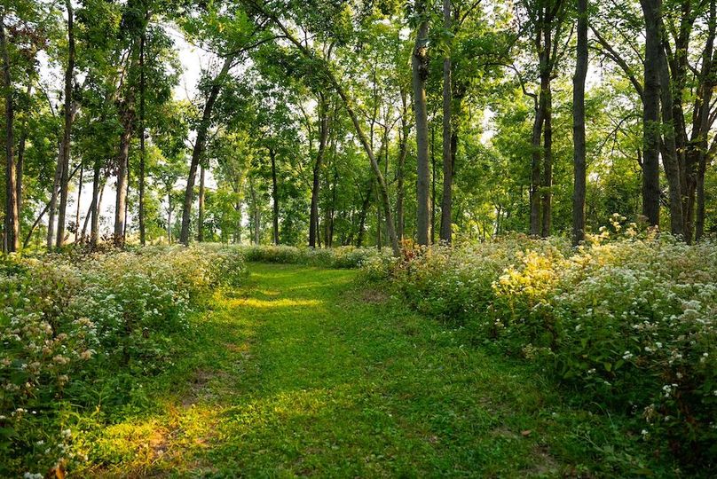 Cedar IA 152 Featured-Z77