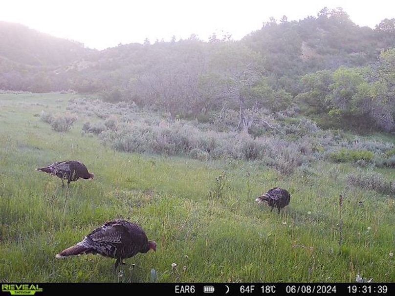 Copy of 868032066947726-70-3-06082024193140-W1004589