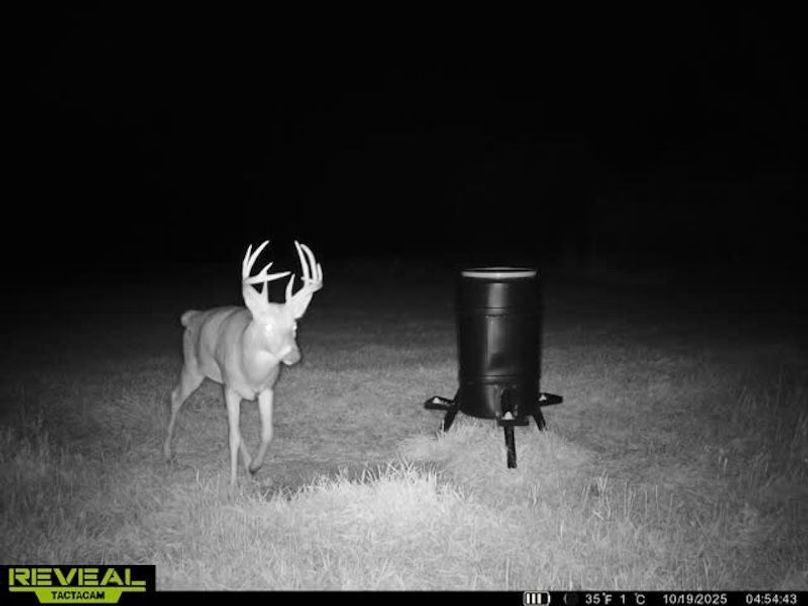 865509050128614-60-4-10192025045453-W1028517