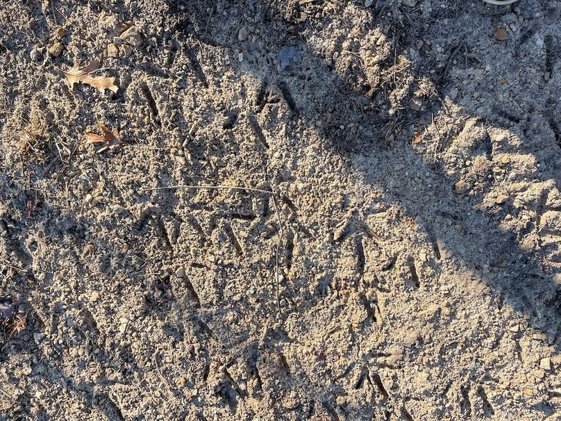 ClarK 160 WILLIAMS -21