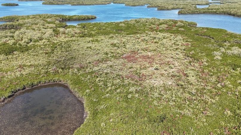 17.17ac, Citrus, Josiah Ronco14