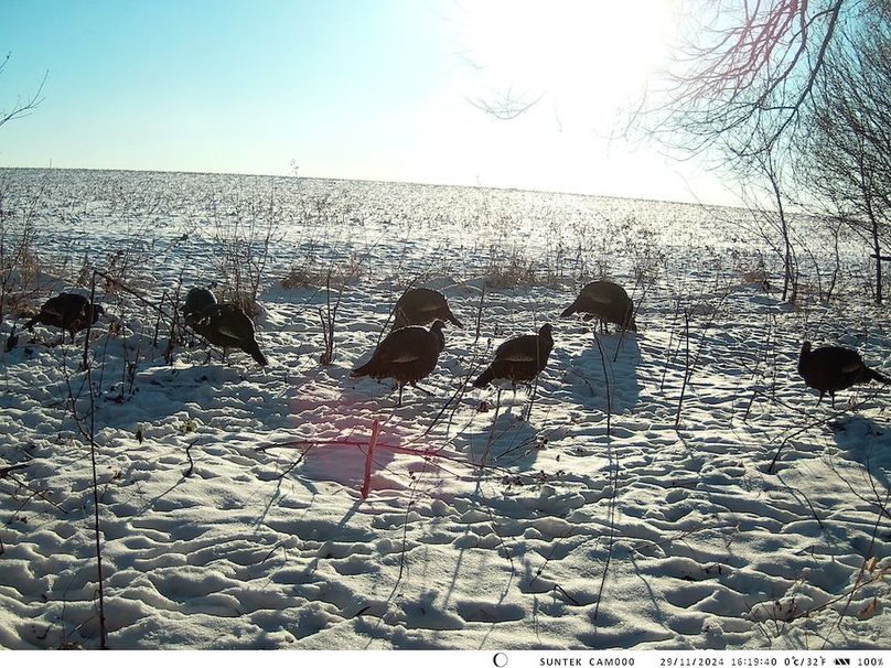 2024-1129-161941_000423