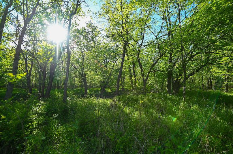 vandalia 450 (2)-3043