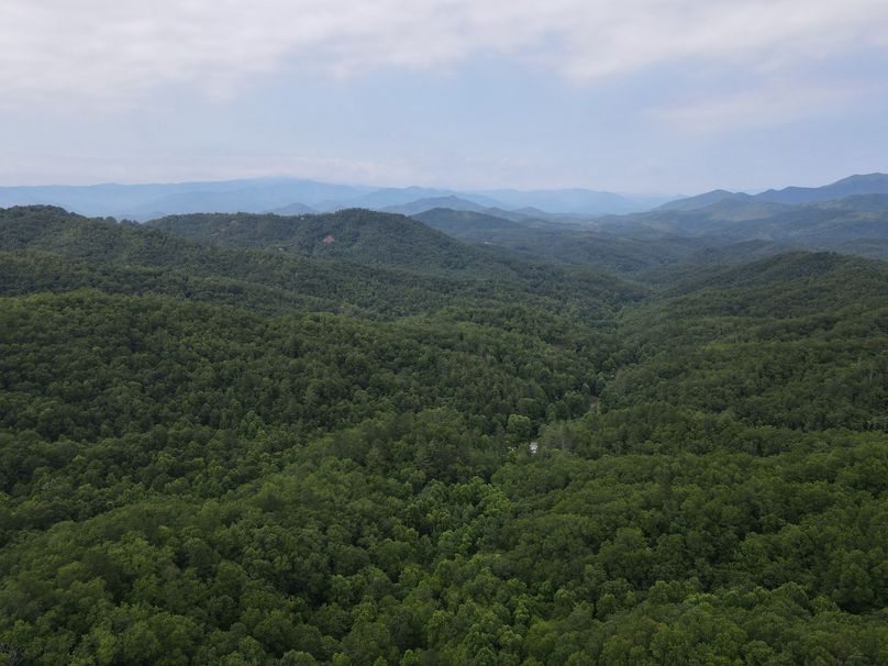 Swain 39 Tysinger-15