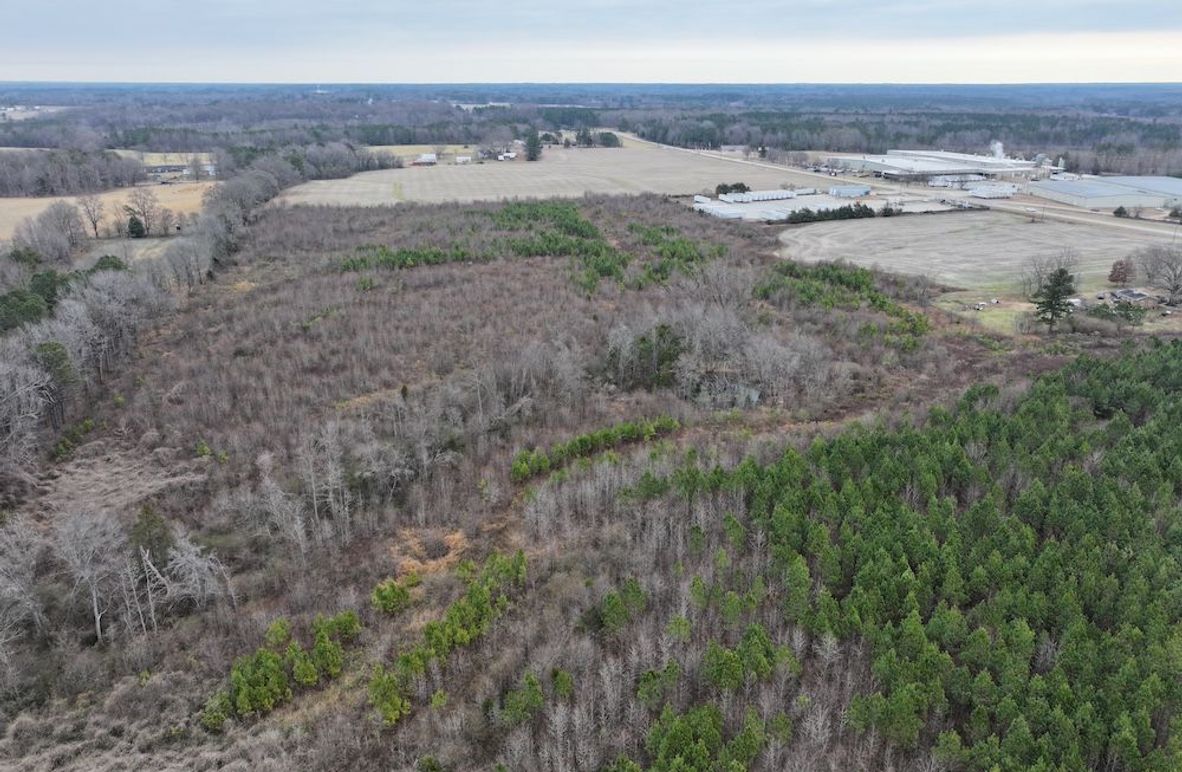 Copy of dji_fly_20251224_113306_0204_1767705726487_photo