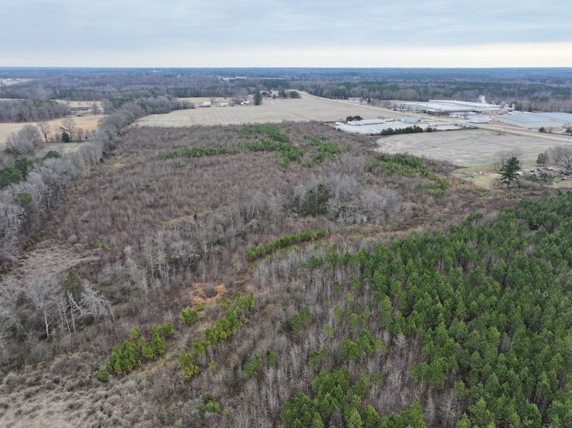 Copy of dji_fly_20251224_113306_0204_1767705726487_photo