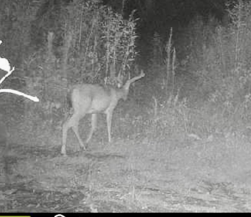 Screenshot_20210727-090549