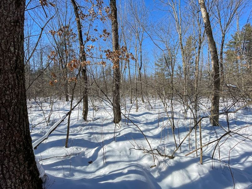 Portage 13.596, Van Asten-27