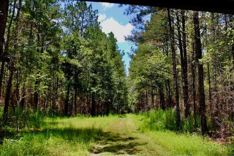 6518D506-4DD0-4F90-998D-DA03A101A6A2_1_201_a