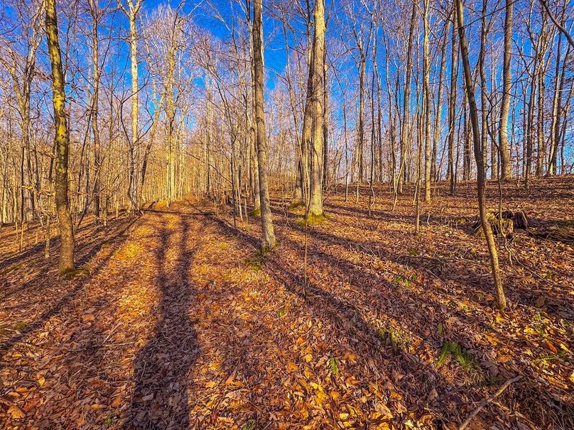 Lewis, WV 82.87 AC Barger-40