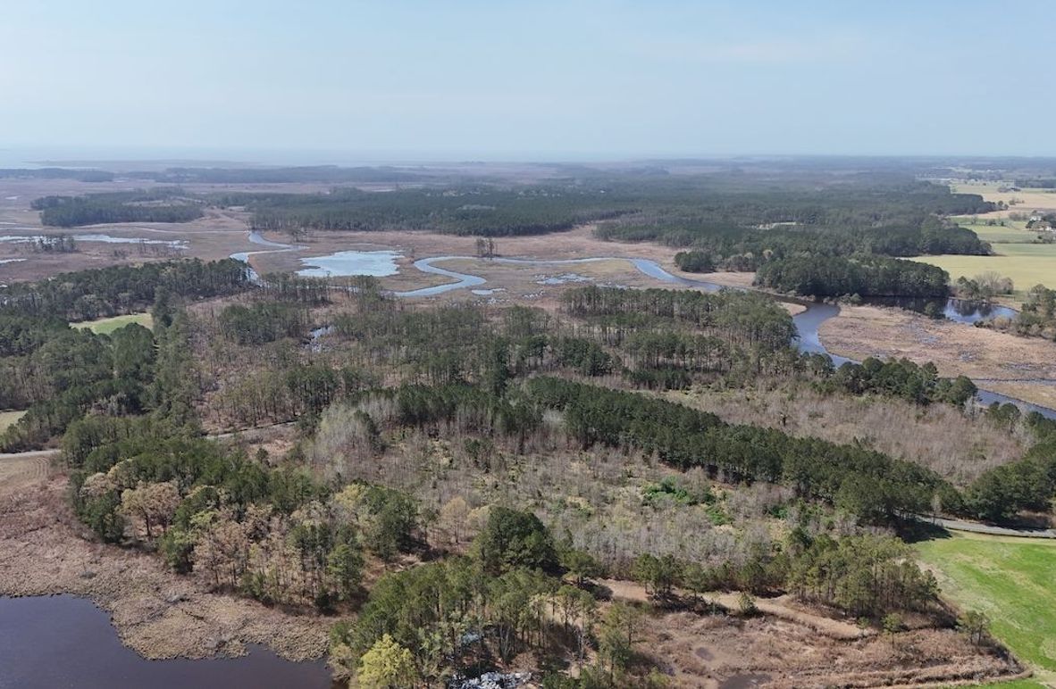 A_First Picture_dji_fly_20260404_120126_0067_1775422866383_photo