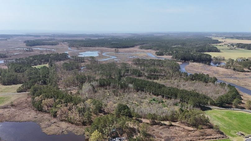 A_First Picture_dji_fly_20260404_120126_0067_1775422866383_photo
