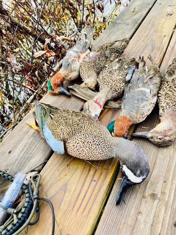 69428117685__8B23BCFE-4D81-4E04-B562-48BC575B19D7