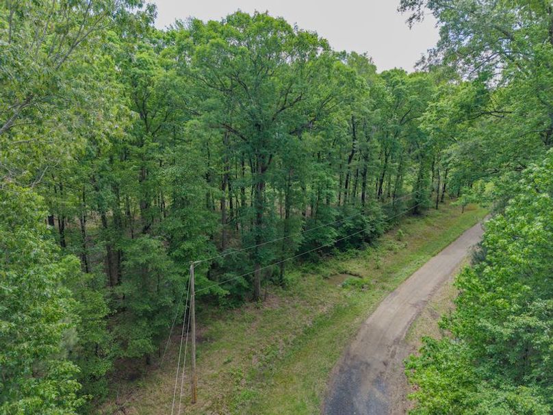 DJI_20250501115418_0422_D