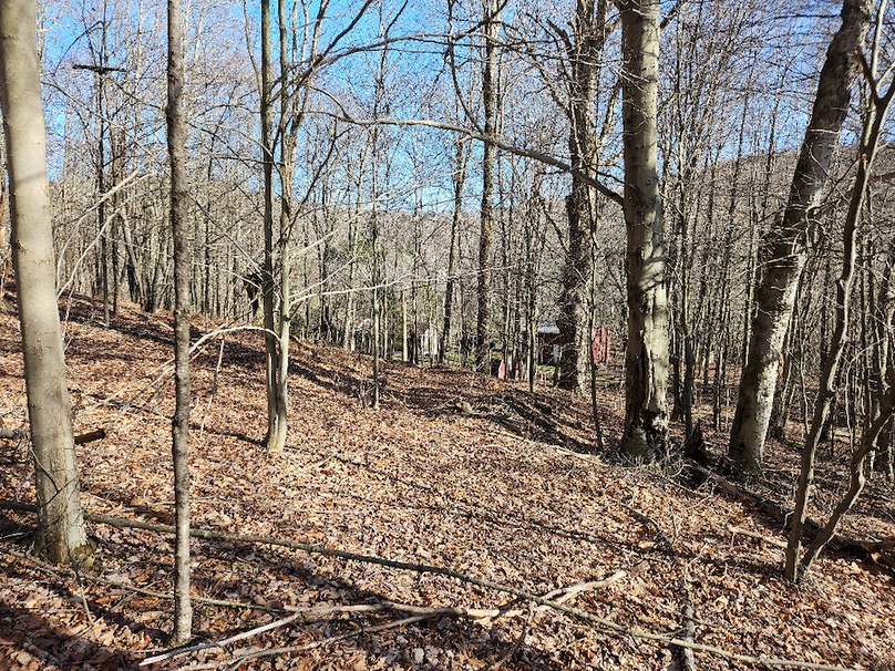 photo_1098f3dd-fffa-4611-bcc9-ec3b744ccc6d