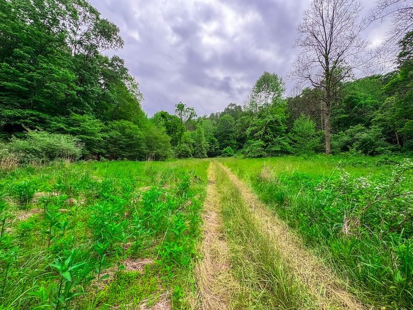Tyler, WV 313.87 AC -46