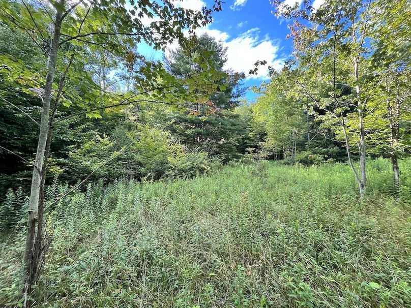 Chemung_12.895_Gutchess_Lumber_Photos_1