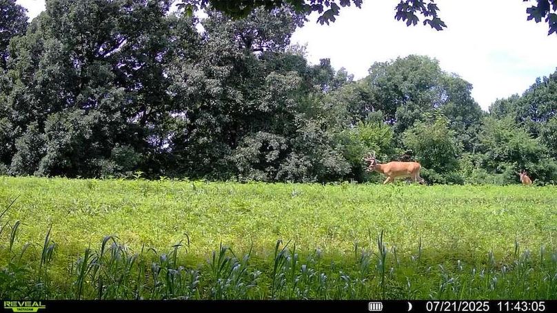 016578002606256-73-4-07212025114305-V-SYFW02504