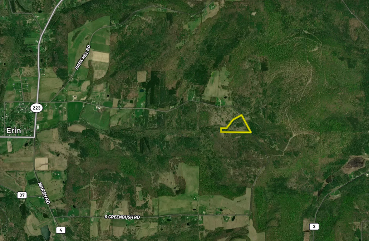 Chemung_14.66_Gutchess_Lumber_Landid_6