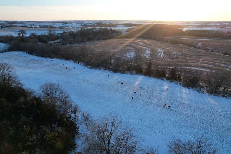 DJI_0513