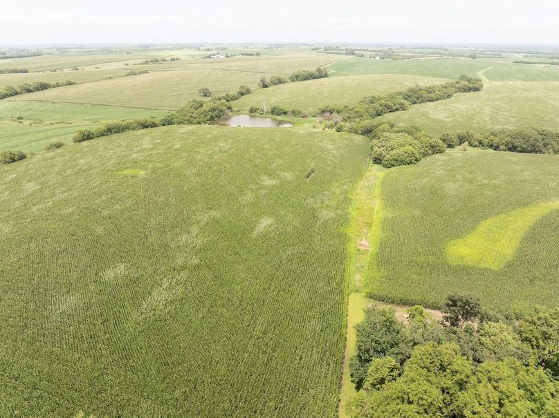 Copy of DJI_20250720140301_0098_D