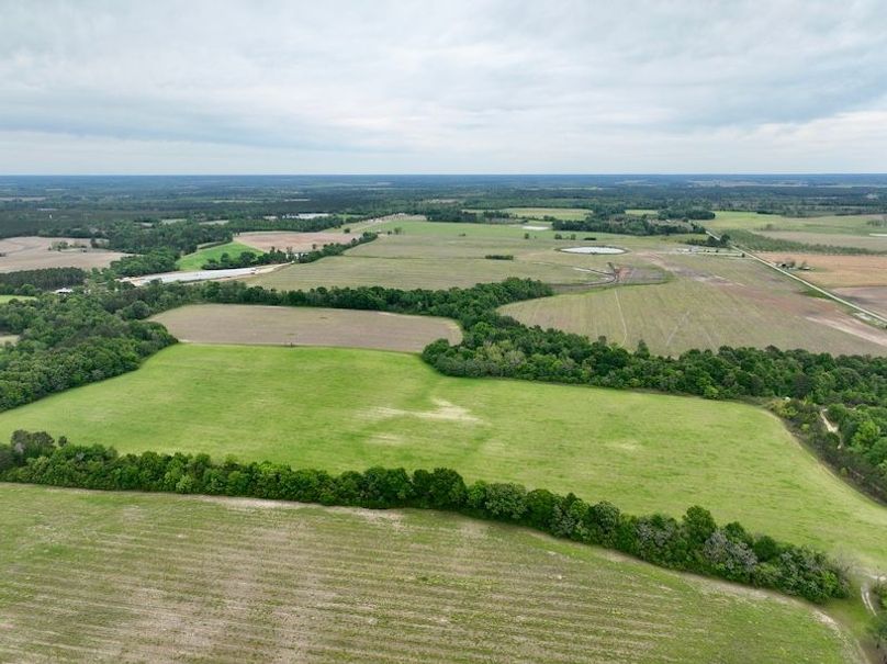 dji_fly_20260406_131624_473_1775496425493_photo