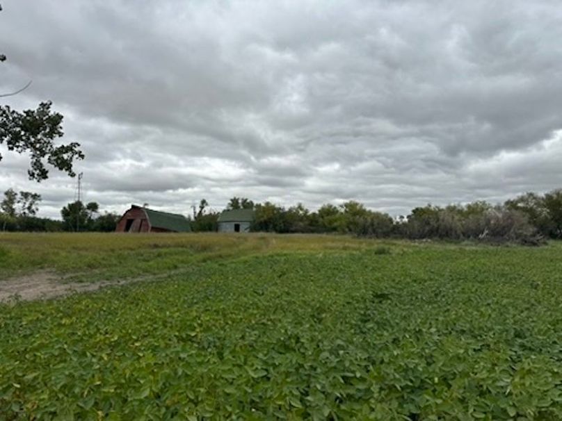 96718D8D-5810-4823-AC82-9FAE58667659_4_5005_c