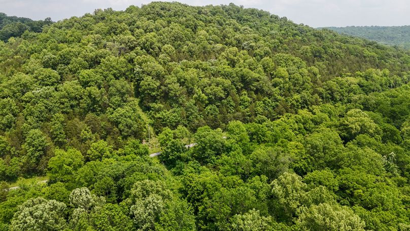 DJI_20250604132430_0007_D