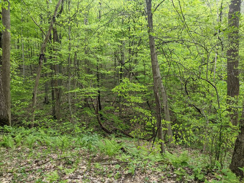 PXL_20230504_215108633