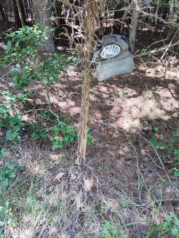 IMG_20250830_114958535