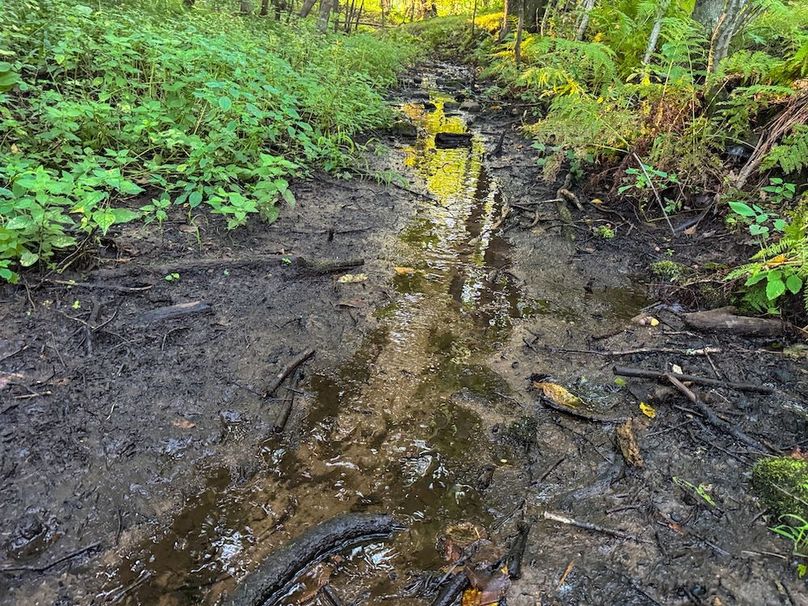 Pantzke Ground Photos-11