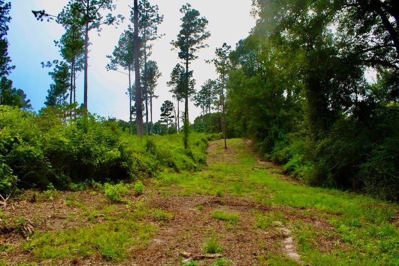 D6408EDC-BB58-472D-ABB3-76525787D84D_1_105_c