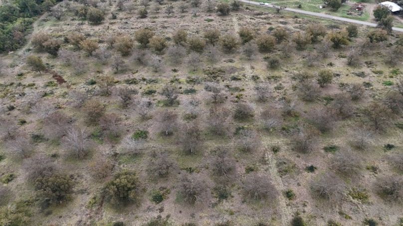 dji_fly_20251107_043306_0044_1762484035293_photo