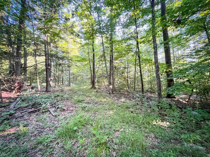 Tioga_82.5_Williams_Photos_22