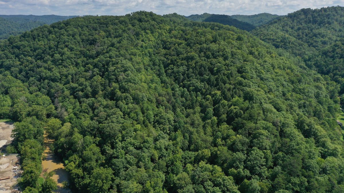 Appalachian Mountain Property Along Quicksand Creek Whitetail Properties