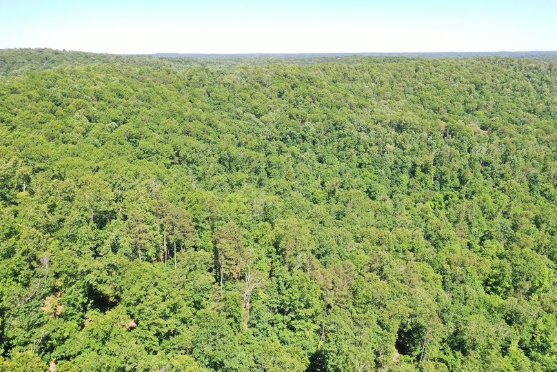 DJI_0950