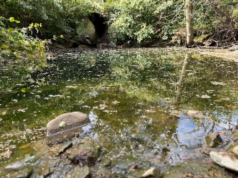 Tioga_30_Flanner Photo 26