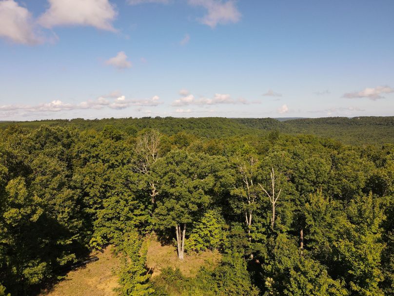 DJI_0950