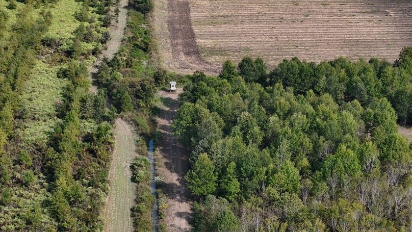 DJI_20251009043620_0781_D