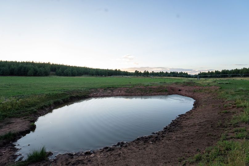 Cibola NM 13,053-05964