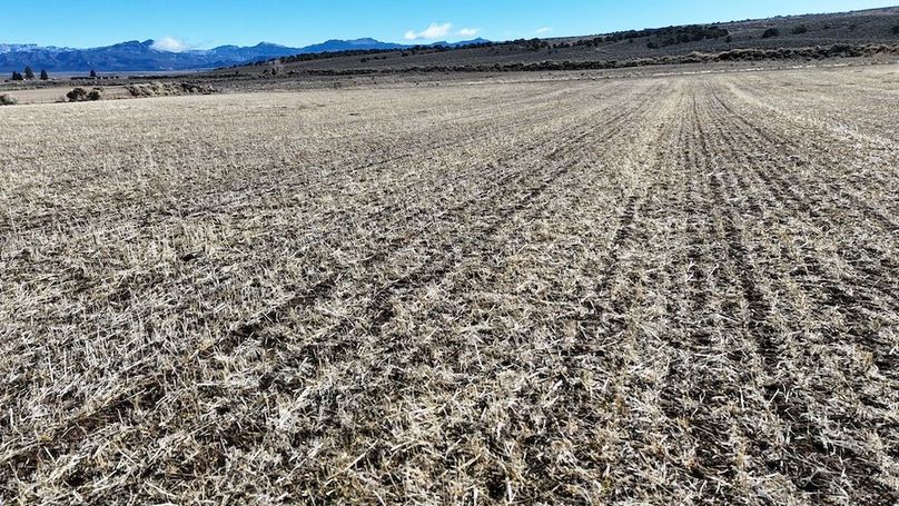 Panguitch City Farm18