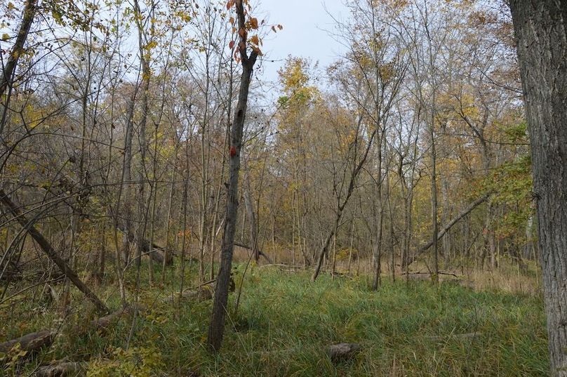 grassy area on east side