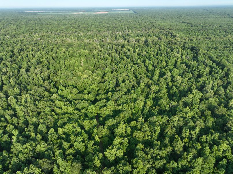 dji_fly_20230630_080628_187_1688137800814_photo