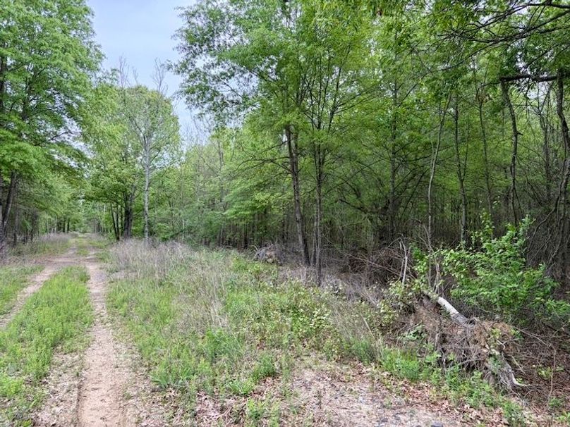 01739ED5-EC07-4F18-A3B3-98A3404D43A4_1_105_c