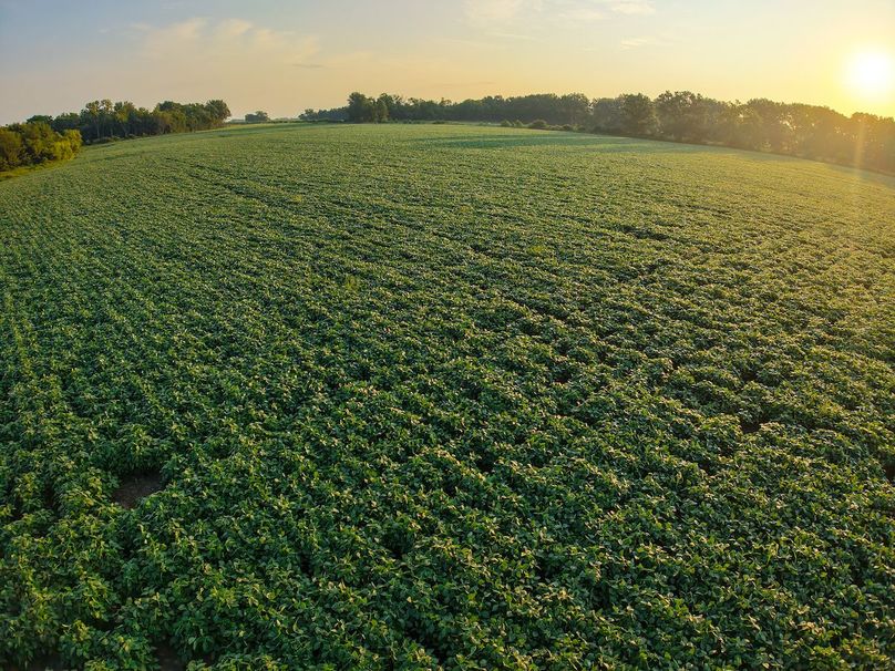 DJI_20250823072319_0952_D