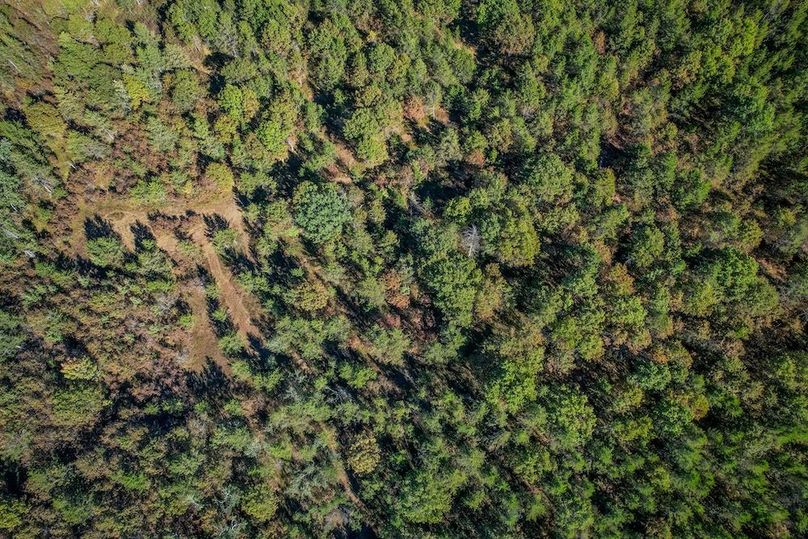 Juneau 27 Wiesner -096