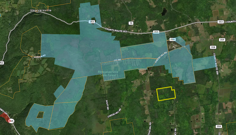 Albany Co 59.5 Neuman Stateland map